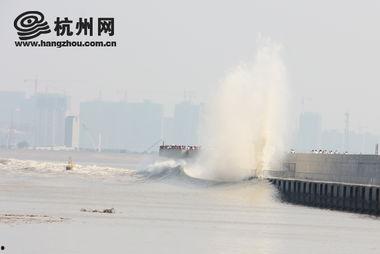 潮水视频,捕捉时代脉搏，展现生活百态