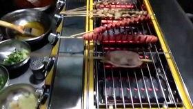 烧烤制作视频,视频详解，轻松学会在家烤出美味佳肴
