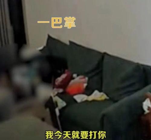打媳妇视频,从打媳妇视频看社会伦理与法律边界