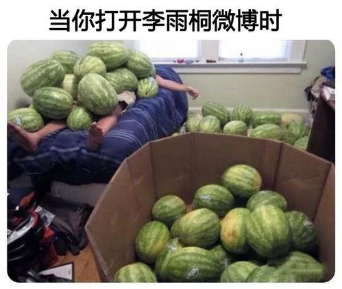 吃瓜网今日大赛