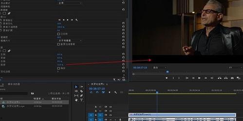 怎么去除视频的字幕,高效技巧大揭秘