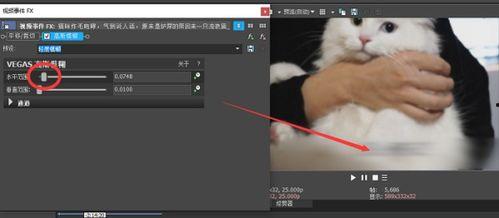 怎么去除视频的字幕,高效技巧大揭秘