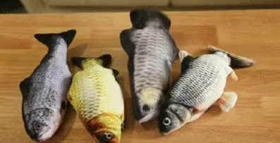 鱼玩具视频,探索创意鱼玩具视频的魅力