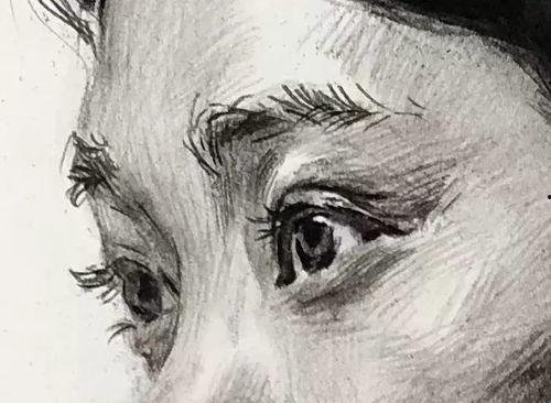 素描画视频,从基础到进阶的绘画技巧解析