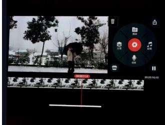 视频拍摄要求,专业视频拍摄技巧解析