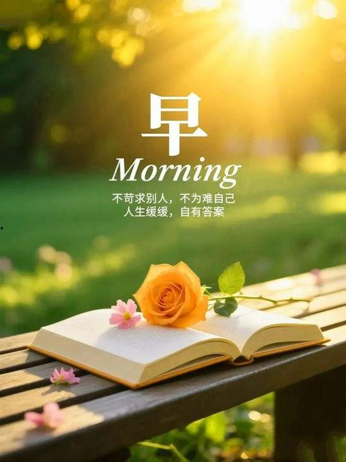 今日摘瓜文案句子图片大全,趣味盎然的句子与图片集锦