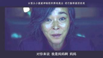 魔女 视频,神秘力量与宿命对决的奇幻之旅