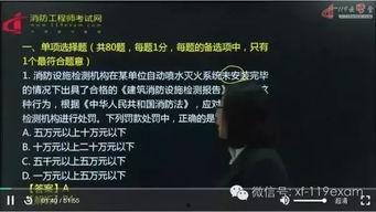 一级视频免费观看,免费观看一级视频的全新体验之旅