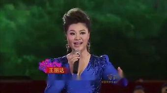 刘和刚歌曲大全视频,深情演绎，唤醒心灵旋律