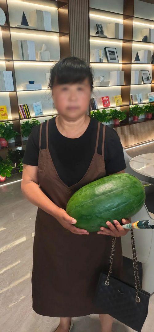 今日都有什么瓜