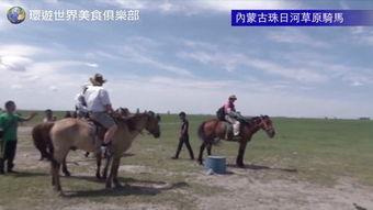 草原骑马视频,感受骑马狂野魅力