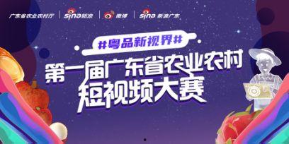 粤视频,探索广东文化魅力，展现时代风采