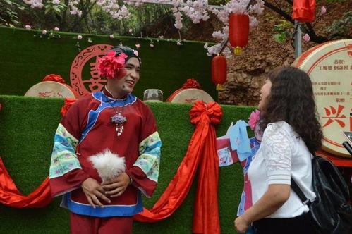 媒婆视频,传统婚介行业的现代转型之路
