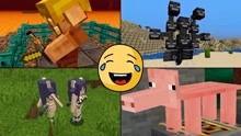 我的世界籽岷最新视频,籽岷最新视频带你领略Minecraft新世界