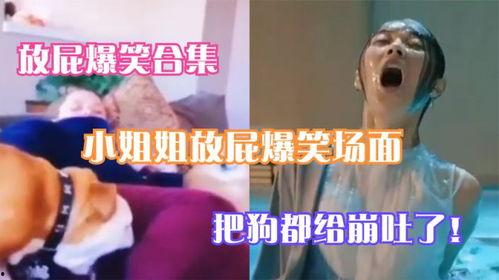 放屁视频大全,放屁视频大全集锦