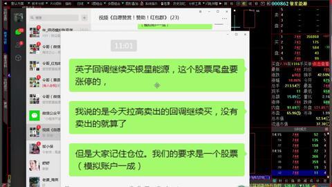 交易视频,市场动态与策略揭秘