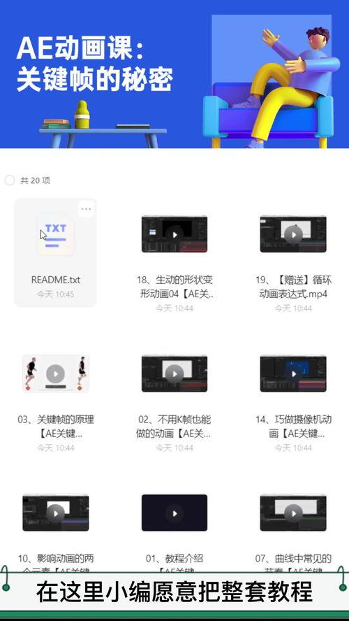 参考视频,深度解析参考视频的精彩瞬间