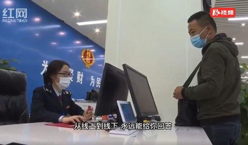 税务视频,揭秘税收政策与实务操作