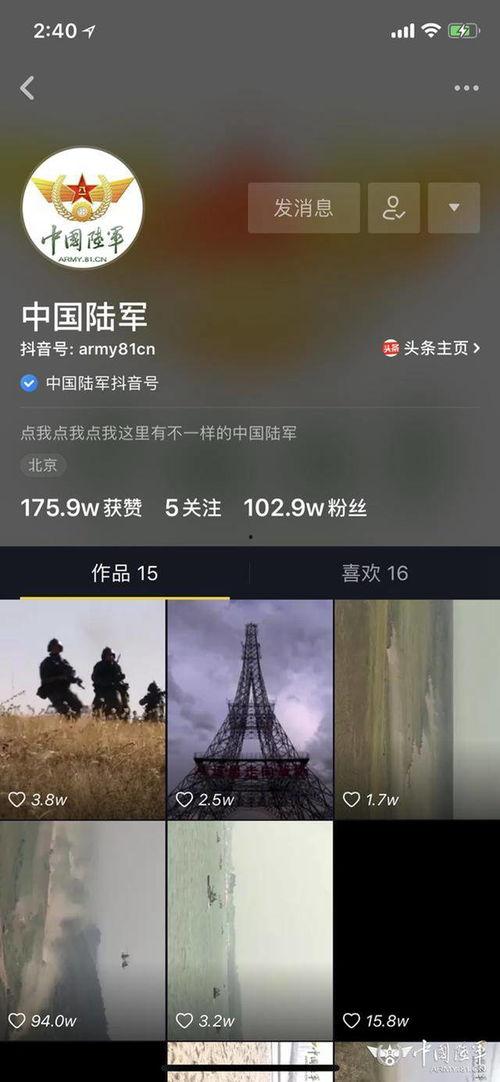 介绍中国视频,视频中的多彩文化与社会变迁
