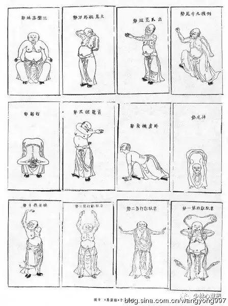 道家十二段锦教学视频,古法养生，视频教学揭秘