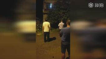 下人视频,真实生活背后的感人故事