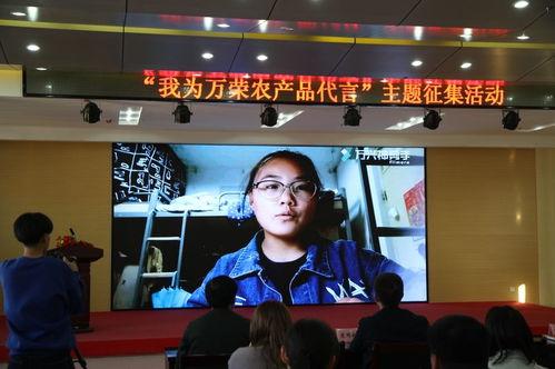 万荣视频,揭秘千年古镇的繁华与变迁