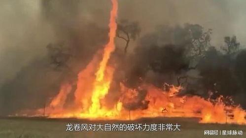 火焰龙卷风的视频,惊心动魄的自然奇观揭秘