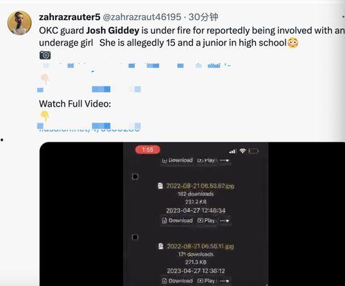 性视频网站,内容监管与用户隐私的双重挑战