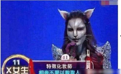 猫女视频,视频中的优雅与魅力瞬间