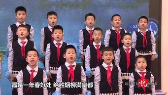 集体朗诵视频,共筑声韵华章