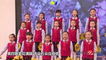 集体朗诵视频,共筑声韵华章