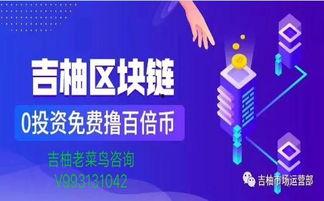 信任视频,构建人际关系的桥梁