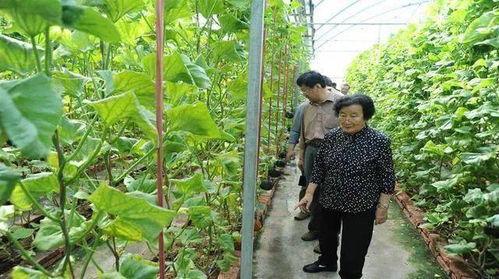 全家吃瓜千金爆料是真的吗,真相揭秘，是真是假？