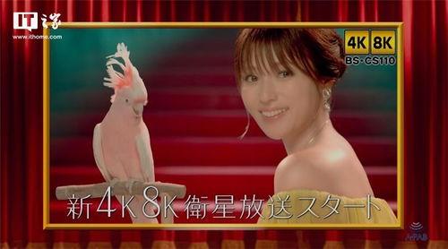 日本600个视频,穿越光影，领略日本魅力