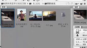 ps教程视频教程,从入门到精通的实战攻略