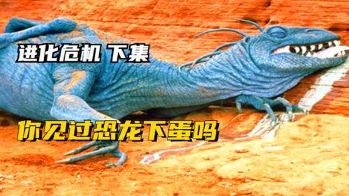 恐龙下蛋视频,揭秘史前生物繁衍之谜