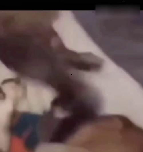 梦见和别人视频,揭秘梦中与陌生人视频的神秘面纱