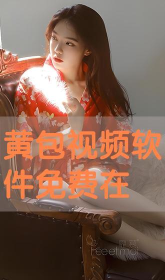 黄包视频,穿梭于历史街头的记忆之旅