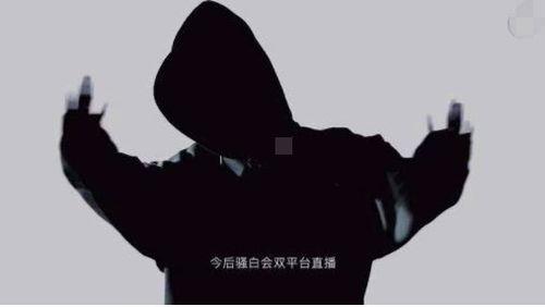 骚白视频,揭秘游戏直播界的魅力与激情
