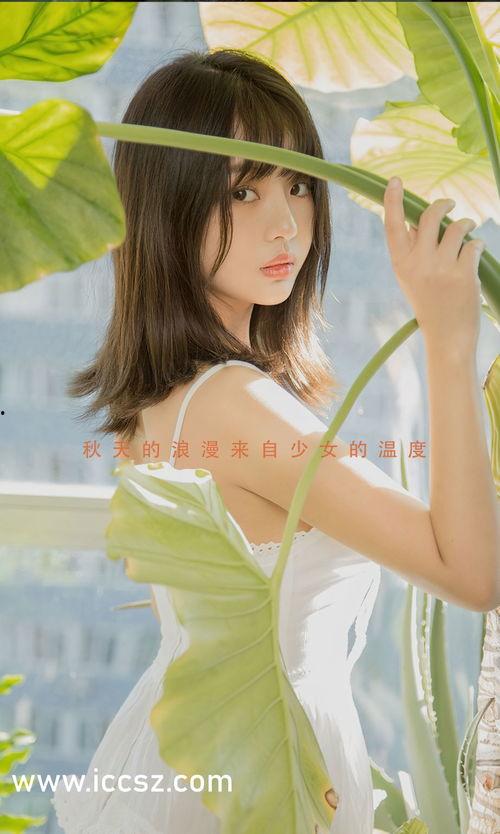 早乙女视频,揭秘日本潮流文化的魅力所在