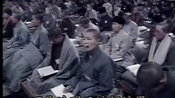 南禅七日视频全集,禅宗智慧与人生修行之旅