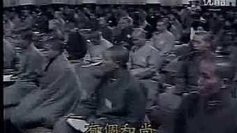 南禅七日视频全集,禅宗智慧与人生修行之旅