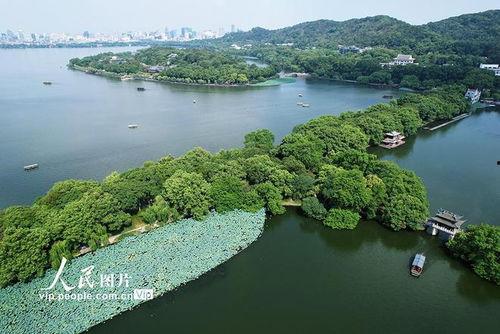 西湖的视频,诗意画卷中的湖光山色
