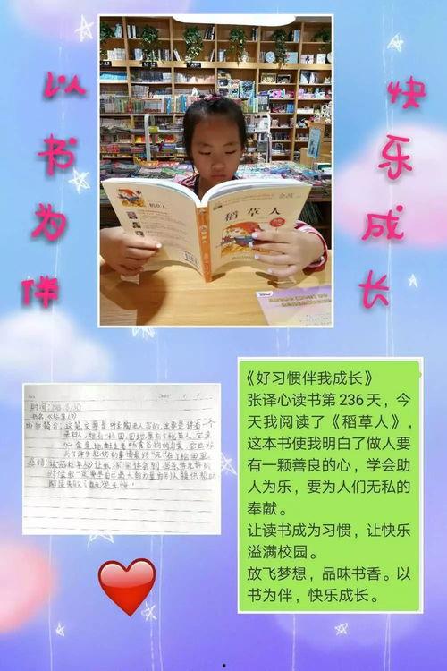 读书视频,深度剖析经典名著的精髓与启示