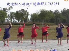 动动广场舞大全视频,活力四溢的舞蹈盛宴