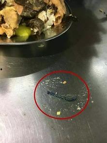 校园爆料吃最新的瓜,独家揭秘最新校园爆料大瓜！