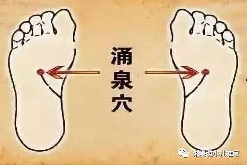 单桂敏艾灸视频全集