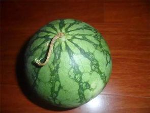 吃瓜今日吃瓜必吃在线观看视频,在线视频揭秘热点事件