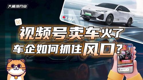 卖车视频,揭秘热门卖车视频背后的精彩瞬间