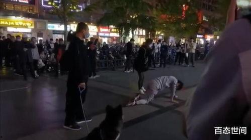 打鞭子视频,揭秘传统技艺的魅力瞬间